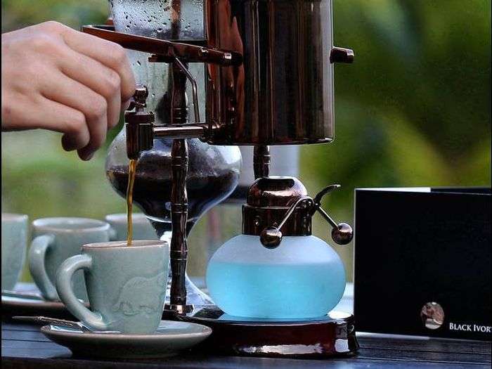 Незвичайний кави, який роблять з посліду слонів (9 фото)