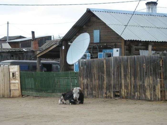 Таке можна побачити тільки в Росії (56 фото)