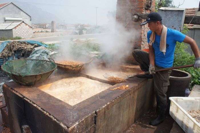 Як до нас поставляють свіжі китайські креветки (8 фото)