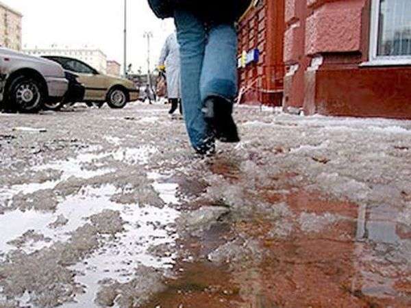 У Москві випав перший сніг (25 фото)