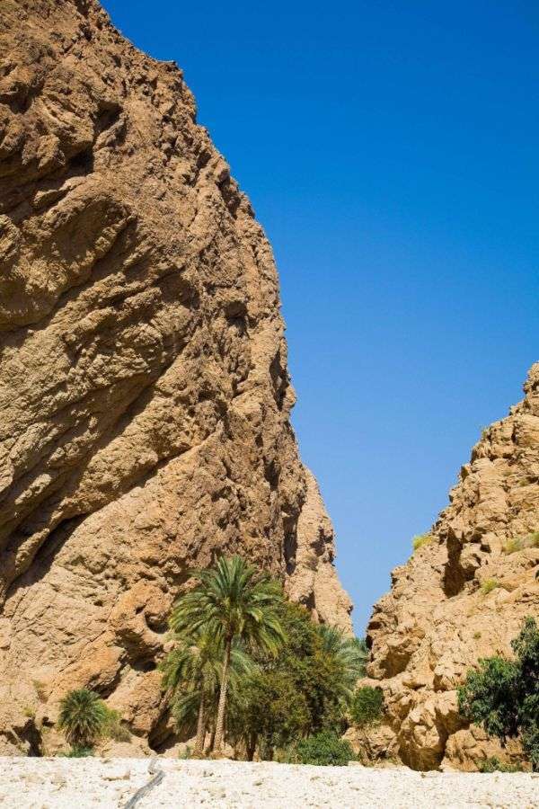 Райський оазис в пустелі (16 фото)