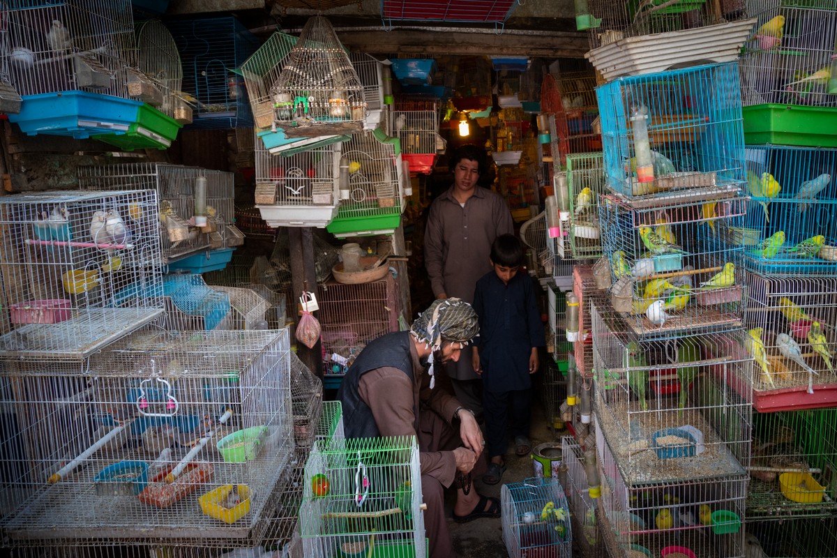 Повседневная жизнь в раздираемом войной Афганистане на снимках Тийса Бруккампа МиР