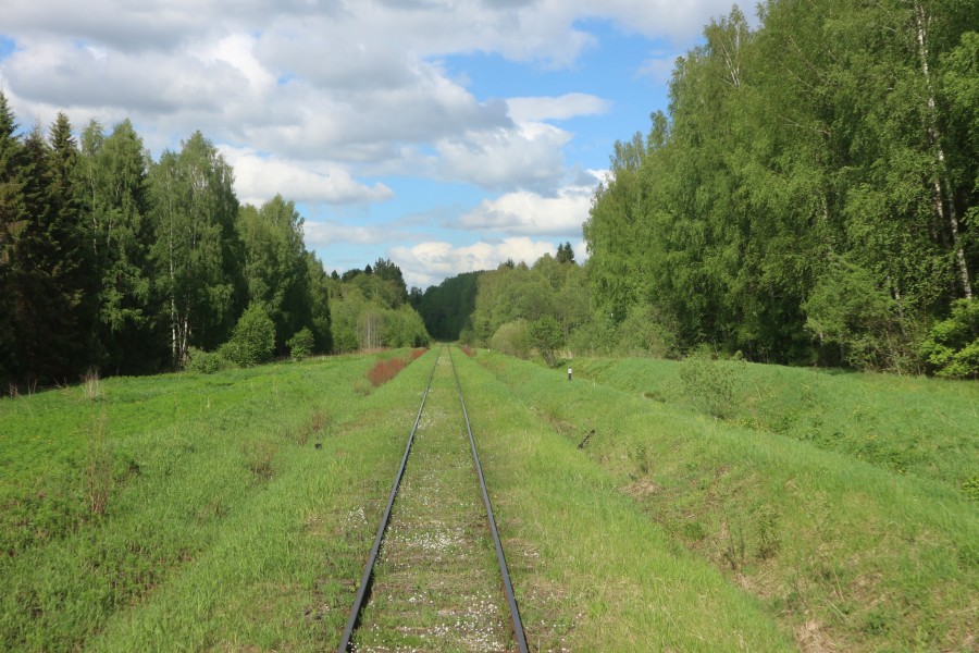 Уходящая натура: на поезде через Тверскую глухомань Тверская область