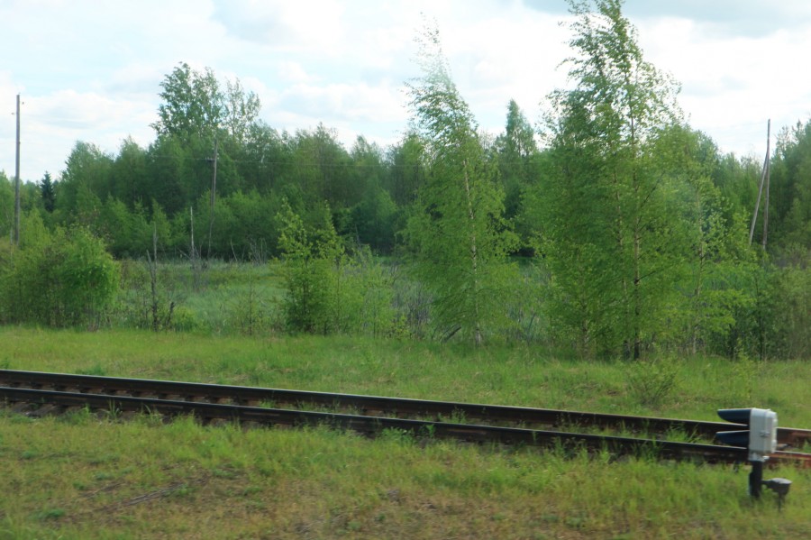 Уходящая натура: на поезде через Тверскую глухомань Тверская область