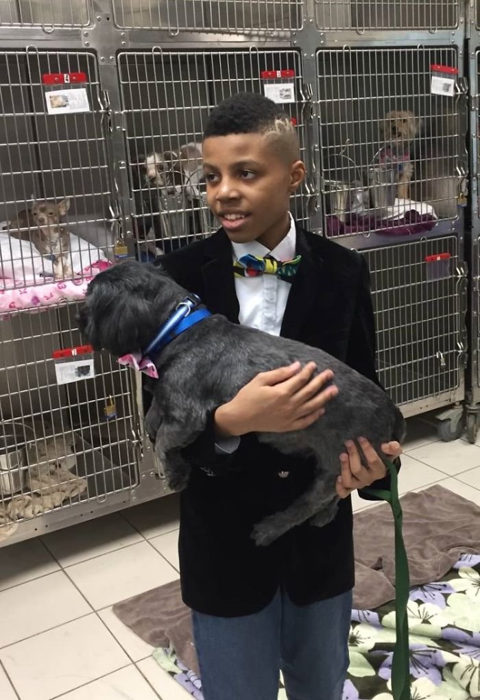12-летний мальчик шьет галстуки-бабочки для животных в приютах, чтобы помочь им найти дом Интересное