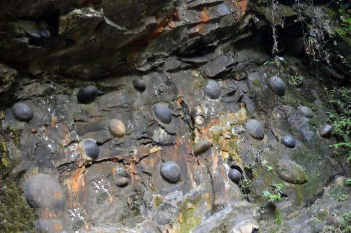 Разгадана тайна скалы, которая каждые 30 лет «несет» яйца и сбивает с толку ученых Интересное